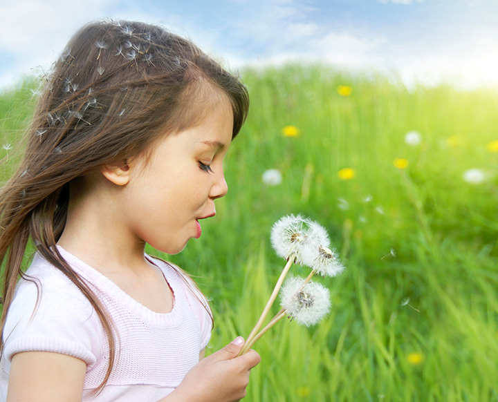 Plan Sostenible y Solidario