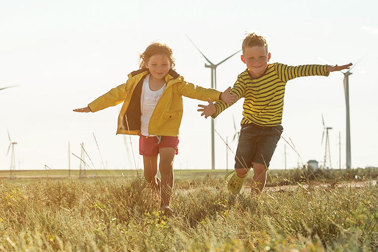 Plan Ahorro Renta Fija