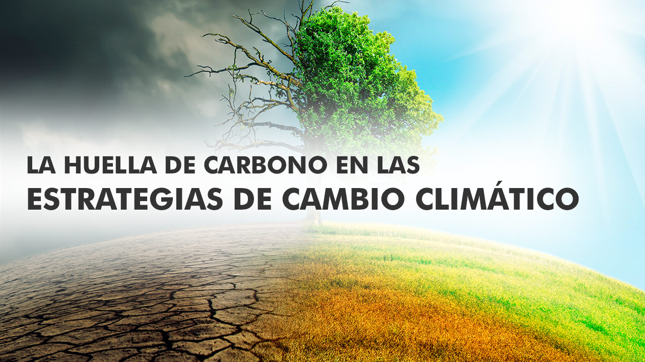 LA HUELLA DE CARBONO EN LAS ESTRATEGIAS DE CAMBIO CLIMATICO