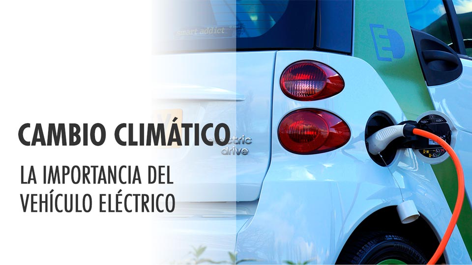 Rafael del Río. Director Técnico de AEDIVE