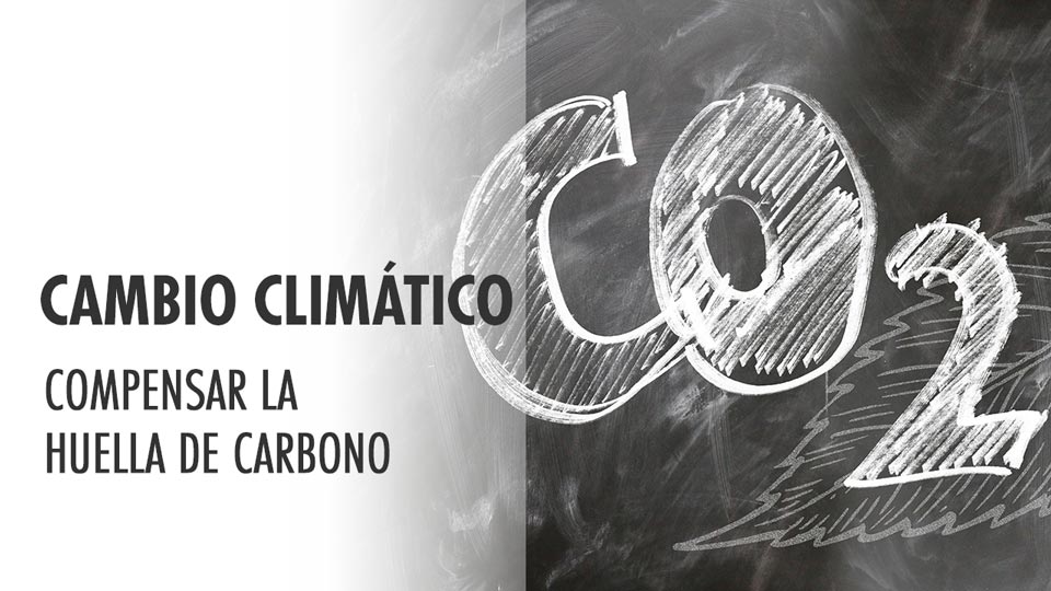 Rodrigo Galán. Director de Grupo Financiero de Ibercaja