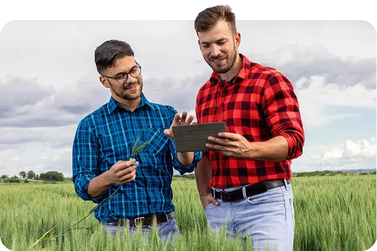 Dos hombres trabajando con la tablet en el campo
