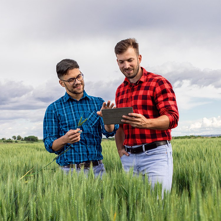 Soluciones Agricultores y ganaderos