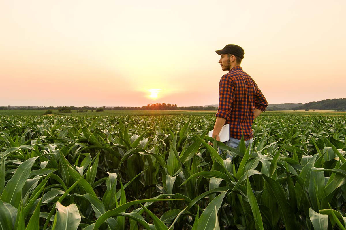 Leasing Agroalimentario