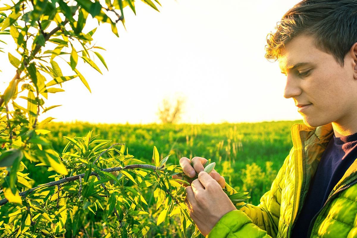 Préstamo Jóvenes Agricultores