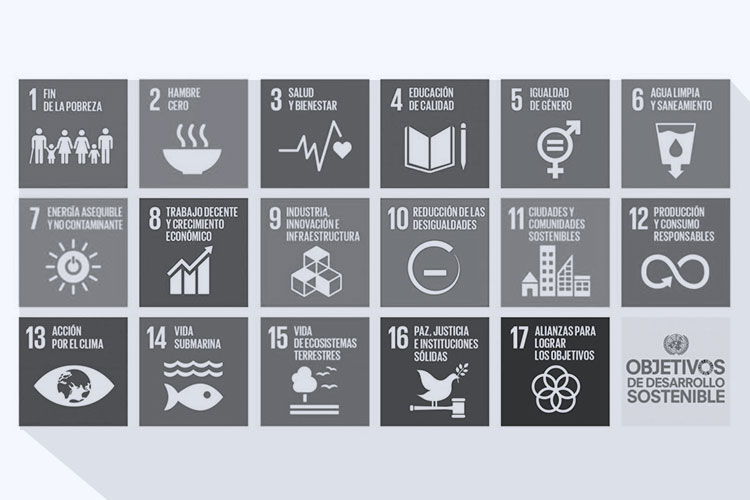 Icono información en materia de sostenibilidad 