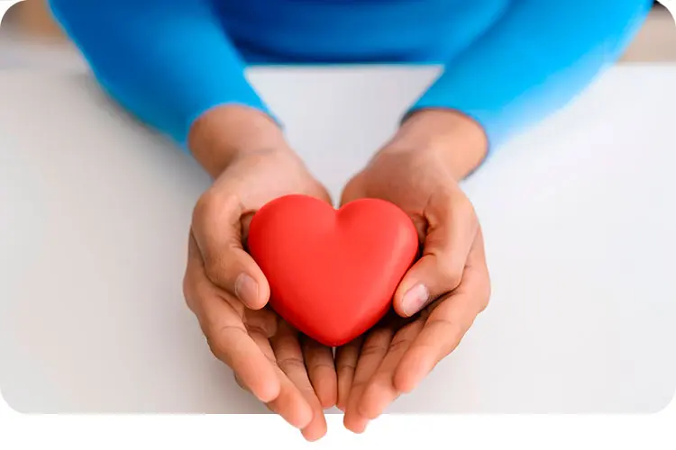 Proyectos apoyados anteriormente