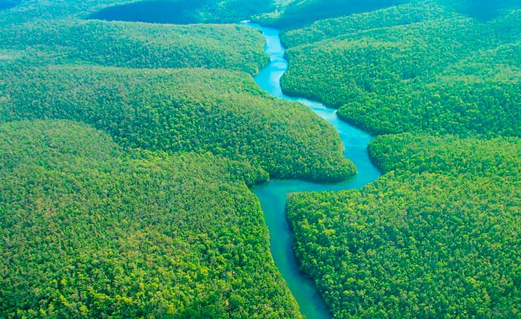 Proyecto CO2. Conservación de la Amazonía en Madre de Dios, Perú