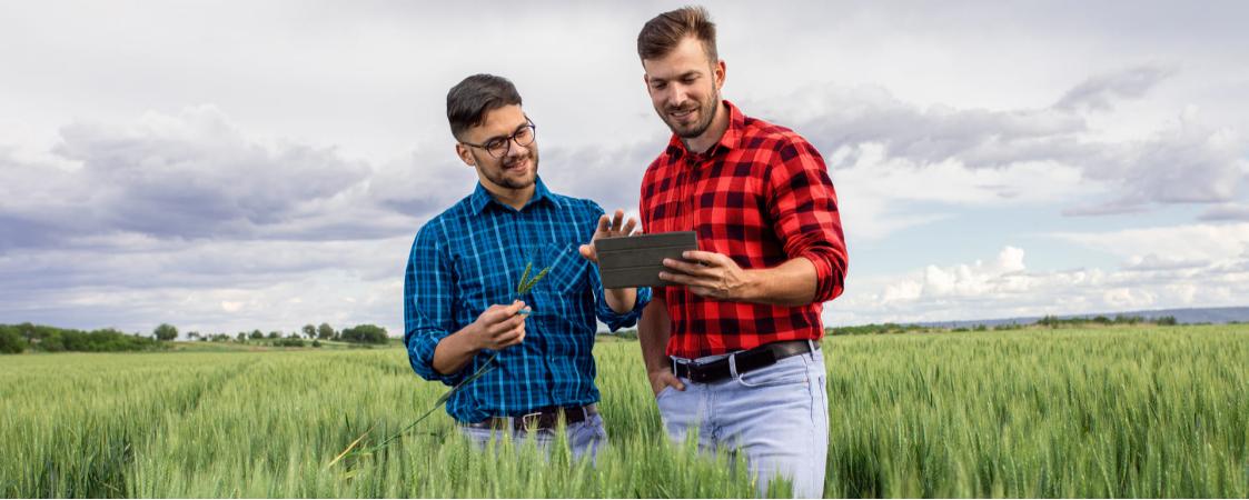 Innovación y nuevos horizontes en el uso de herbicidas Innovación y nuevos horizontes en el uso de herbicidas