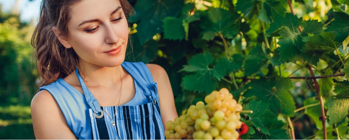 XIII Monográfico: Lo que Pasa en el Campo