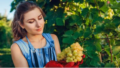 XIII Monográfico: Lo que Pasa en el Campo