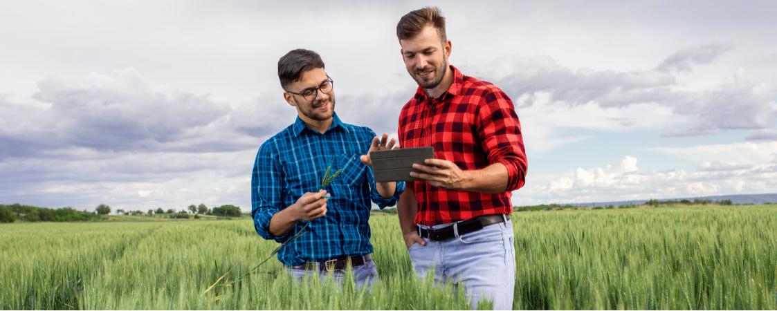Sembrando Valor: El Mercado de Carbono en el Campo Aragonés