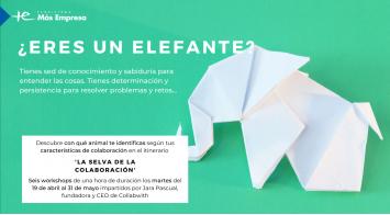 ‘La selva de la colaboración’: resumen de aprendizajes y herramientas prácticas