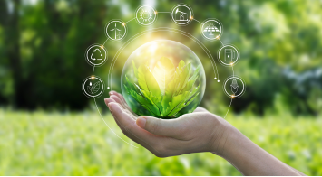 Conseguir subvenciones para financiar los proyectos de las empresas