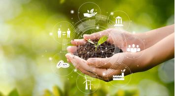 La economía social, o cómo tu empresa puede ayudar a proteger el planeta