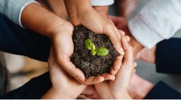 Cómo impulsar la reducción de emisiones desde tu empresa