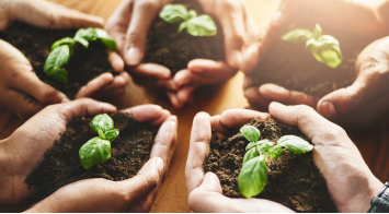 La descarbonización de la actividad económica ya es un reto urgente