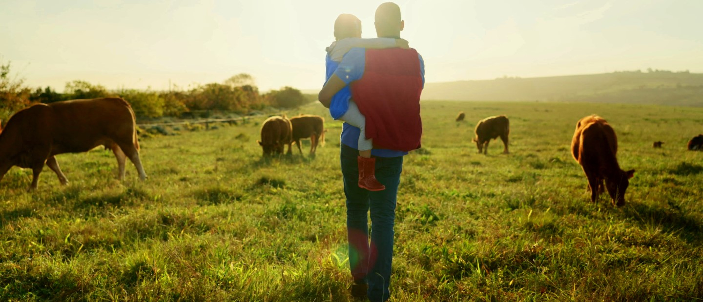 Protegen los seguros ante el fuego