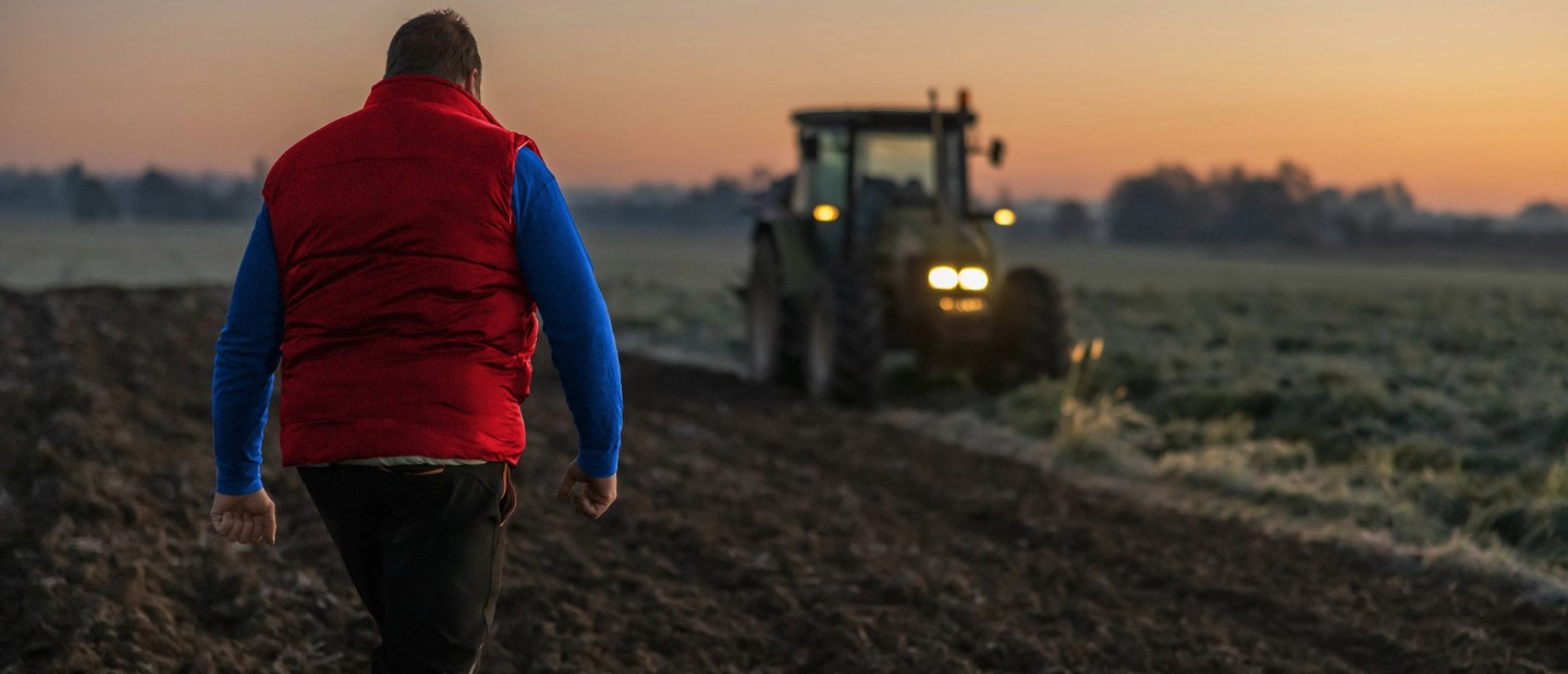 Créditos de carbono para agricultores