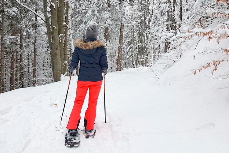 Imagen mujer haciendo ruta de esqui en el bosque