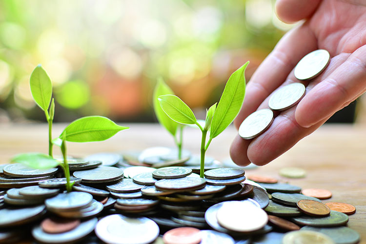 Imagen de monedas en plantas