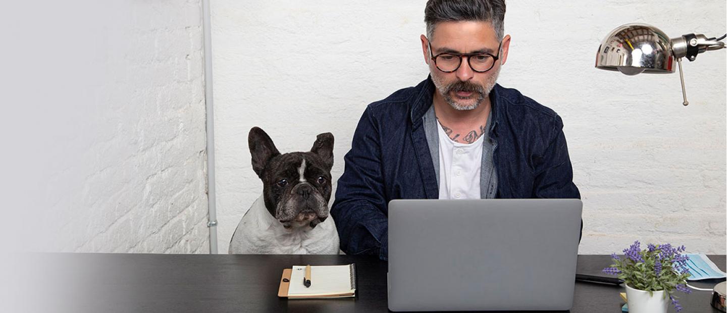 Imagen hombre revisando ordenador con su perro al lado