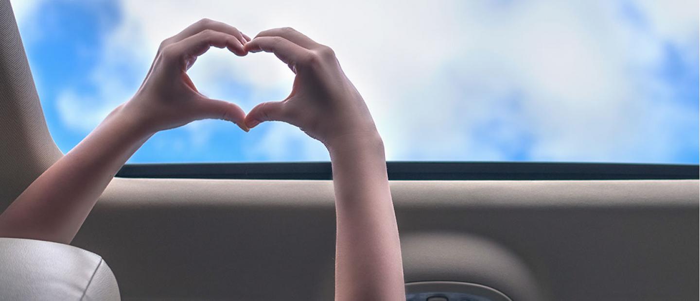 Coche siempre nuevo con un renting