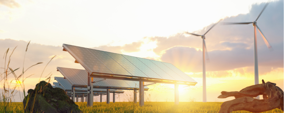 placas solares y molinos de viento