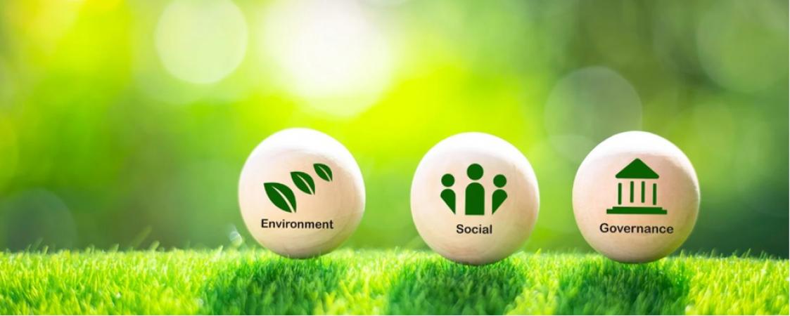 Medioambiente - social- gobierno