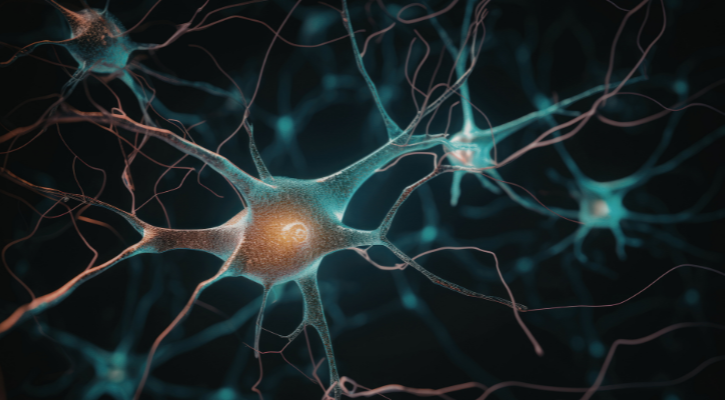 Qué es la neuroproductividad y cómo aplicarla en el trabajo