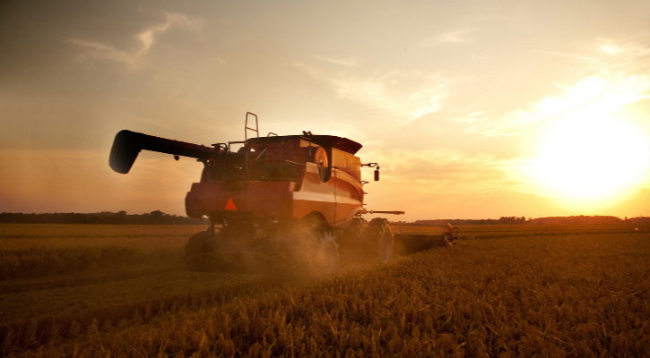 Cosechadora trabajando en un campo al atardecer