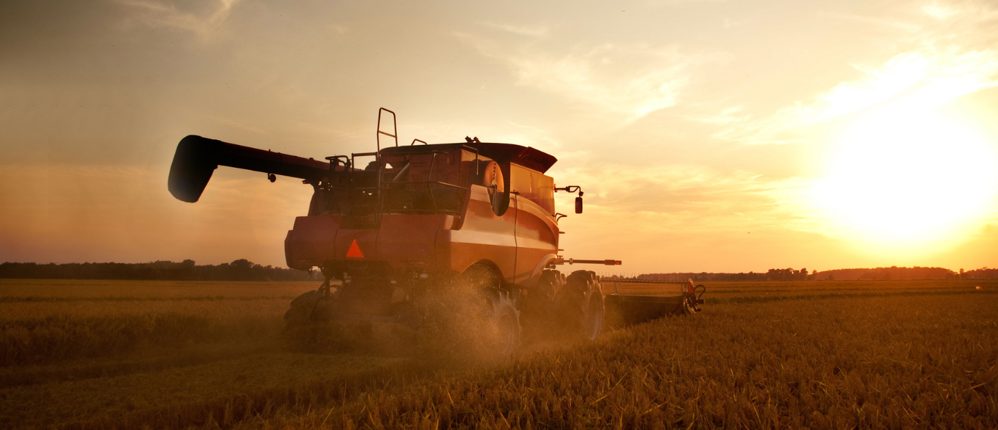 Cosechadora trabajando en el campo al atardecer