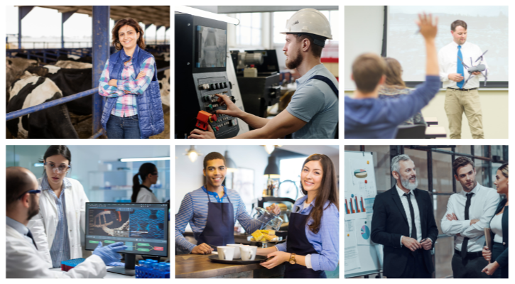Mosaico de imágenes que representa a profesionales de diversos sectores como la industria, la ciencia, la educación, la hostelería y los negocios.