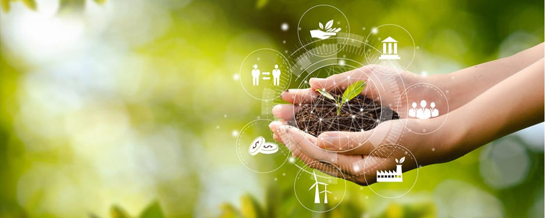 Manos sosteniendo tierra con brote verde rodeadas de iconos de sostenibilidad y energía renovable sobre fondo natural