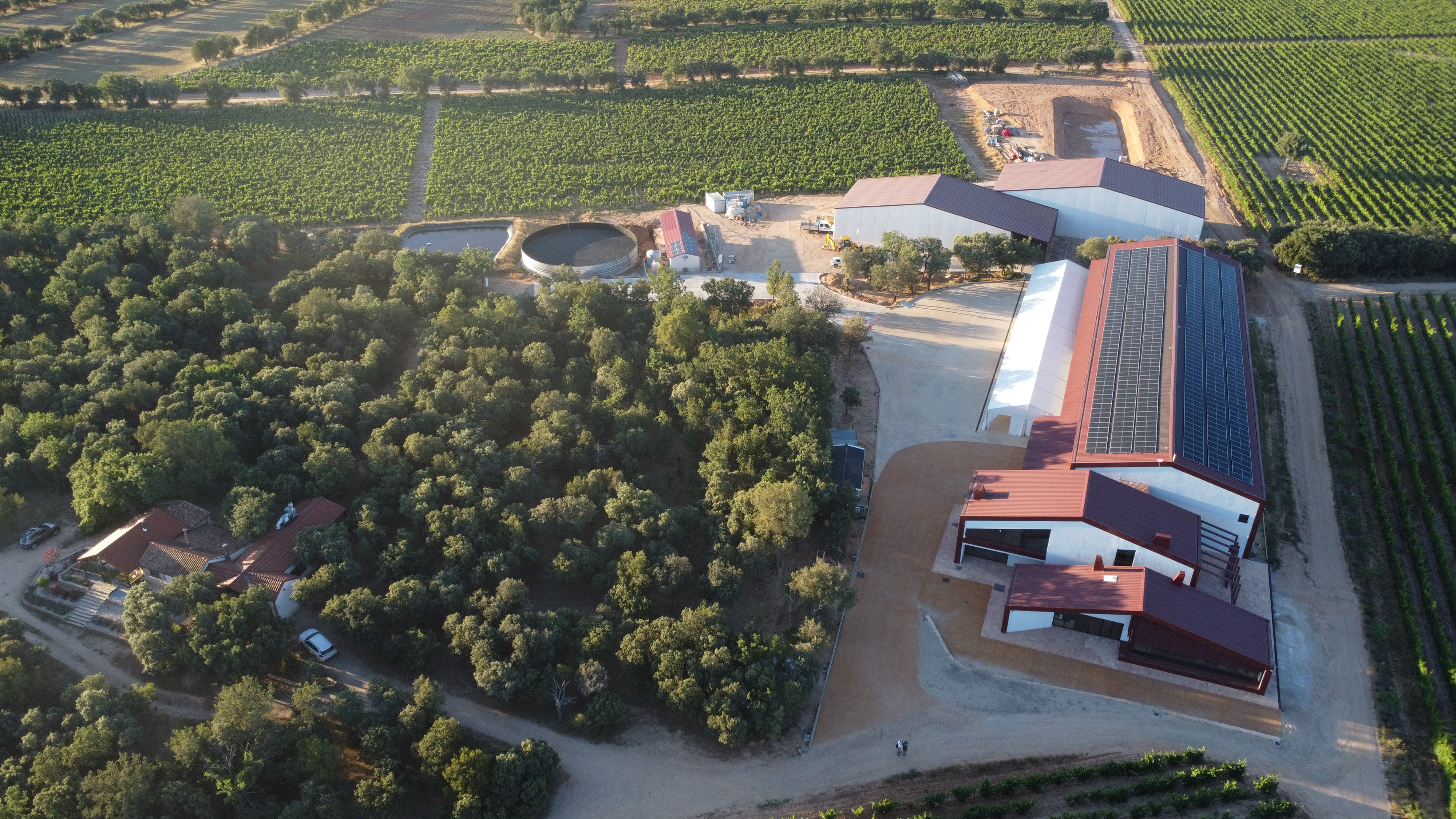 Vista aérea del edificio de la bodega y de los viñedos
