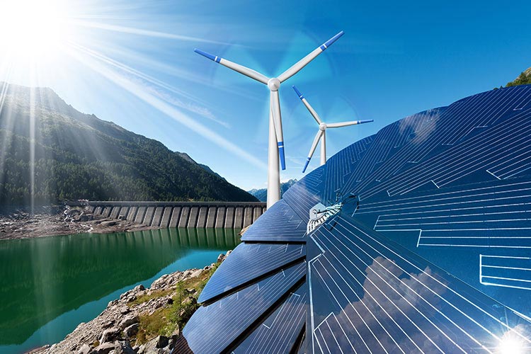 Cuidado del medio ambiente