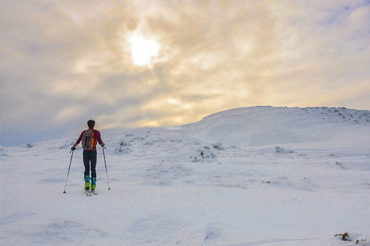 Raquetas de nieve