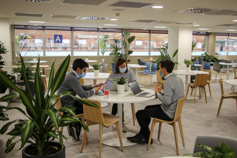 Tiempos de mutación empresarial