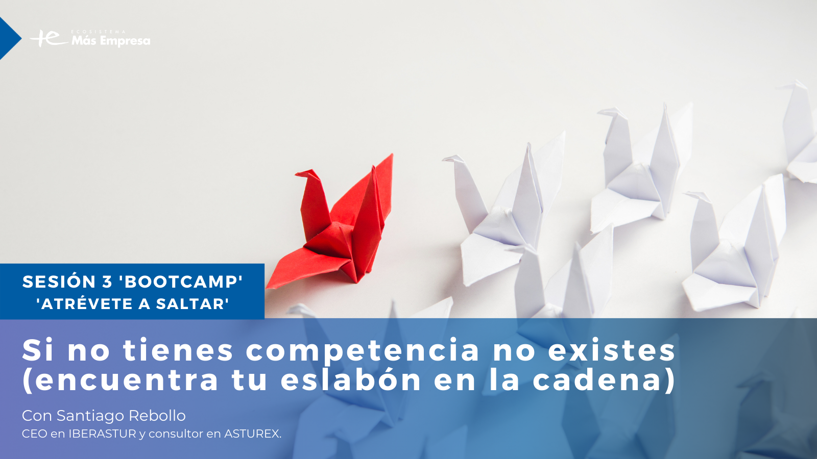 “Para triunfar, tienes que mirar a tu alrededor”